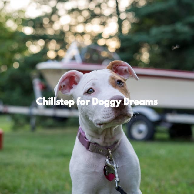 Chillstep for Doggy Dreams - Songs for Dogs to Sleep To