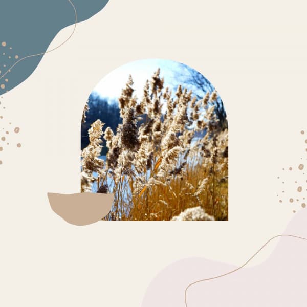 Jazz Trio - Ambiance for Jet Lag - Peaceful Autumn Instrumental Jazz