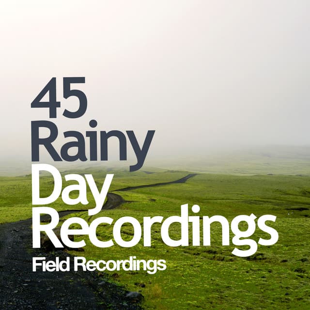 45 Rainy Day Recordings - Field Recordings