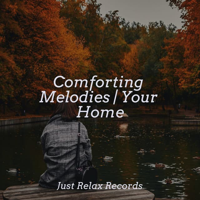 Comforting Melodies | Your Home - Chinese Relaxation and Meditation