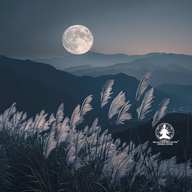 Flute Sleep Aid: Falling Asleep and Improving Sleep Quality - Relaxation Meditation Songs Divine