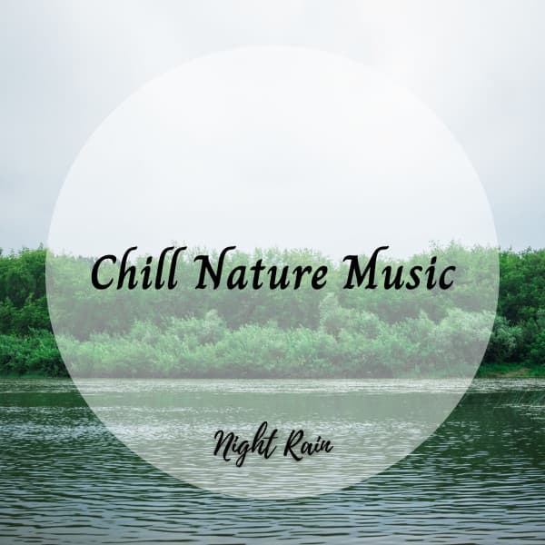 Night Rain: Chill Nature Music - Spa Music Playlist