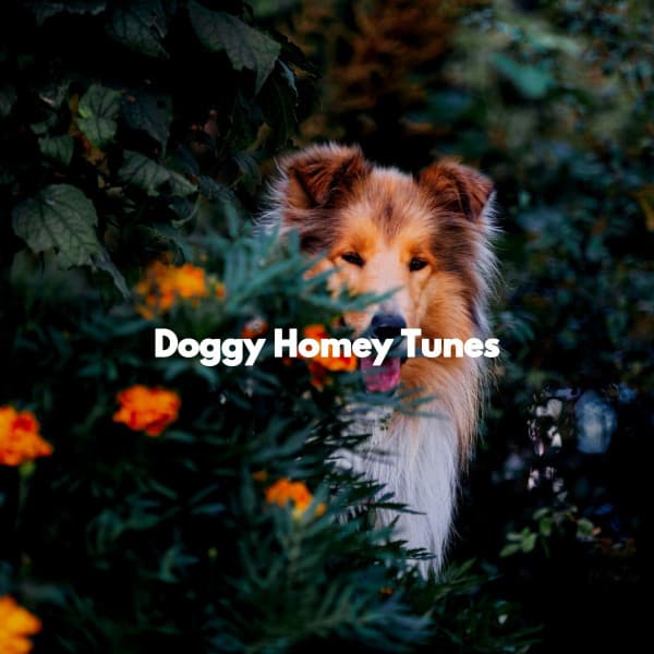 Doggy Homey Tunes - Dinner Table Jazz Dream