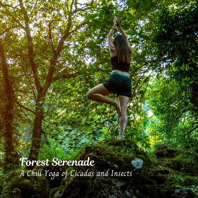 Forest Serenade: A Chill Yoga of Cicadas and Insects - Mother Nature