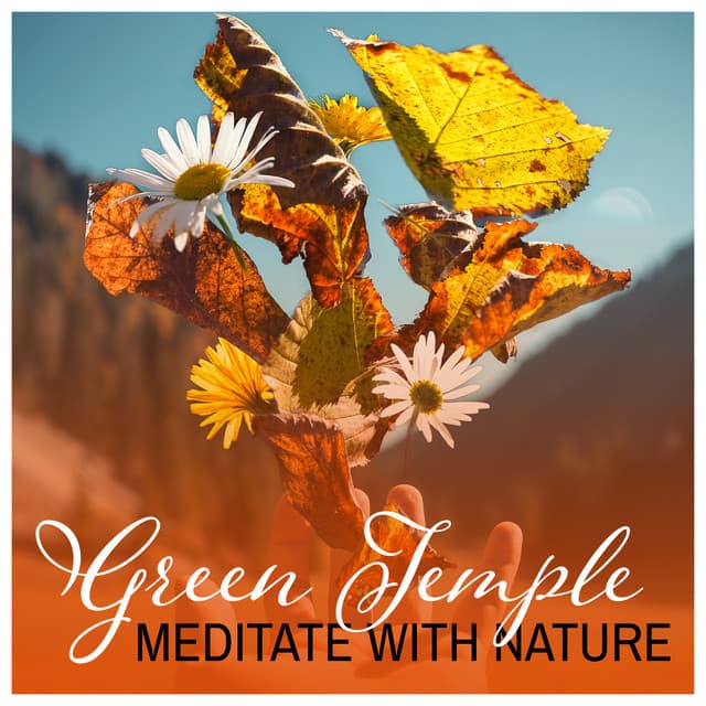 Green Temple – Meditate with Nature - Gentle Crystal Sounds Divine