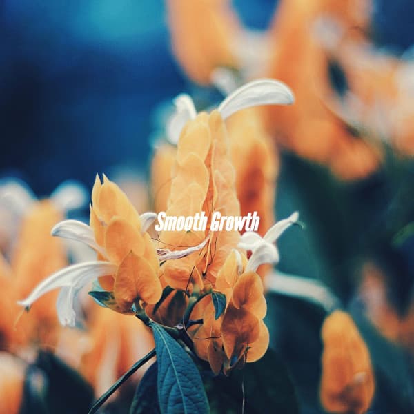 Smooth Growth - Happy Cooking Music