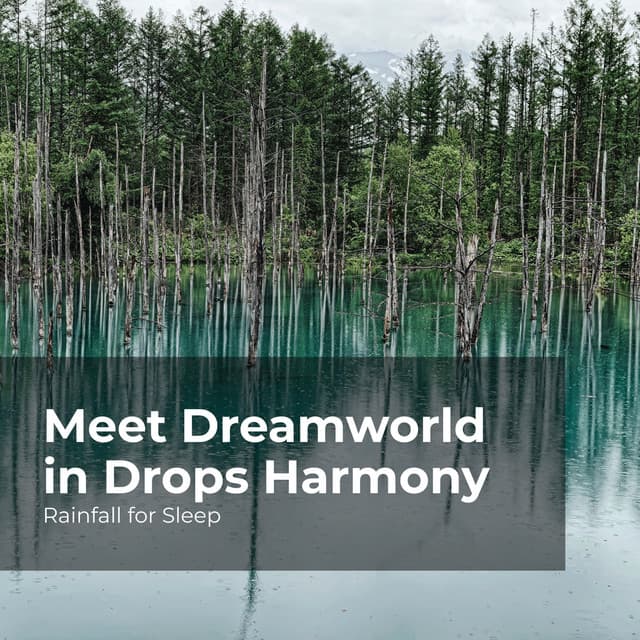 Meet Dreamworld in Drops Harmony - Rainfall For Sleep