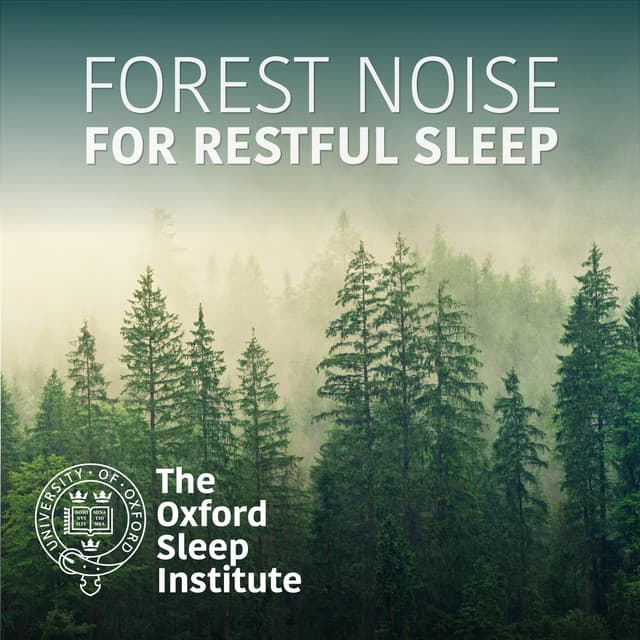 Forest Noise for Restful Sleep - The Oxford Sleep Institute