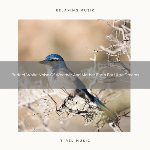 Perfect White Noise Of Weather And Mother Earth For Ultra Dreams - The Noise Project