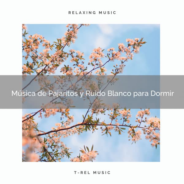 Música de Pajaritos y Ruido Blanco para Dormir - Ruido Blanco