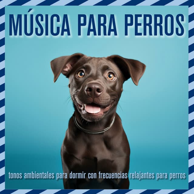 Música para perros: tonos ambientales para dormir con frecuencias relajantes para perros - Relaxmydog