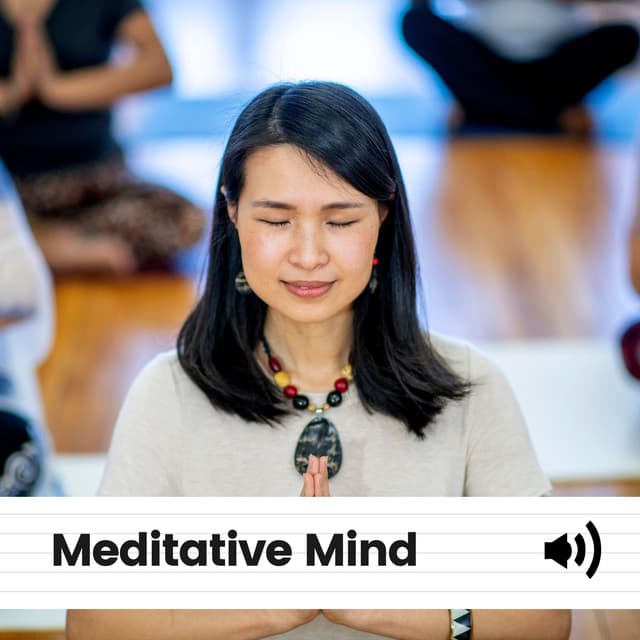 Meditative Mind - Binaural Systems