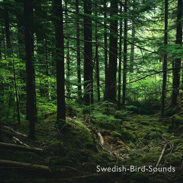 Swedish-Bird-Sounds
