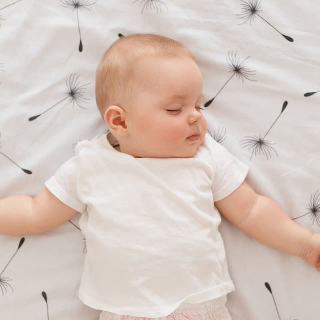 Nighttime Nectar: Peaceful Sounds for Baby Sleep - Sleep Factory