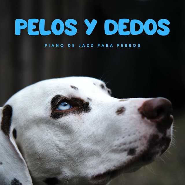 Pelos Y Dedos: Piano De Jazz Para Perros - Música para Calmar a tu Perro