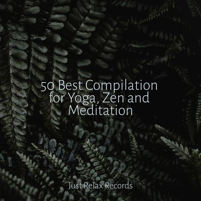 50 Best Compilation for Yoga, Zen and Meditation - Rising Higher Meditation