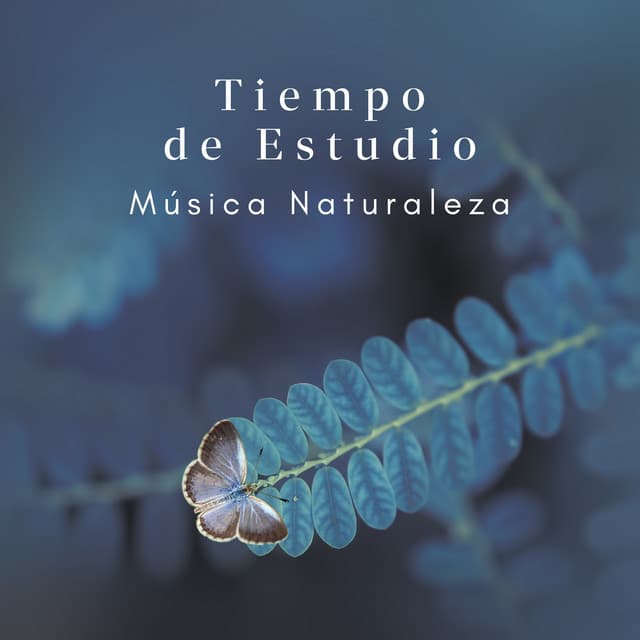 Tiempo de Estudio sin Interrupciones: Música Relajante Naturaleza para Estudiar para el TDAH, Ayuda con los Problemas de Concentración - Academia de Música para Estudiar Fácilmente
