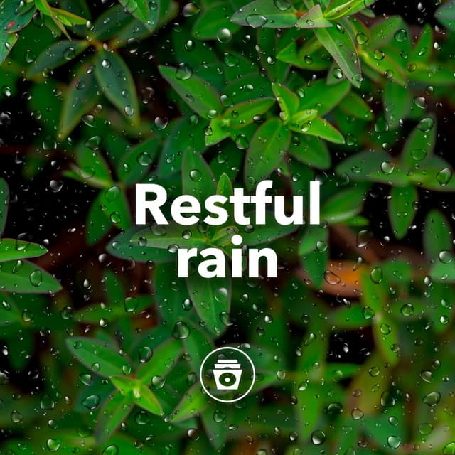 Restful Rain - Rainfall