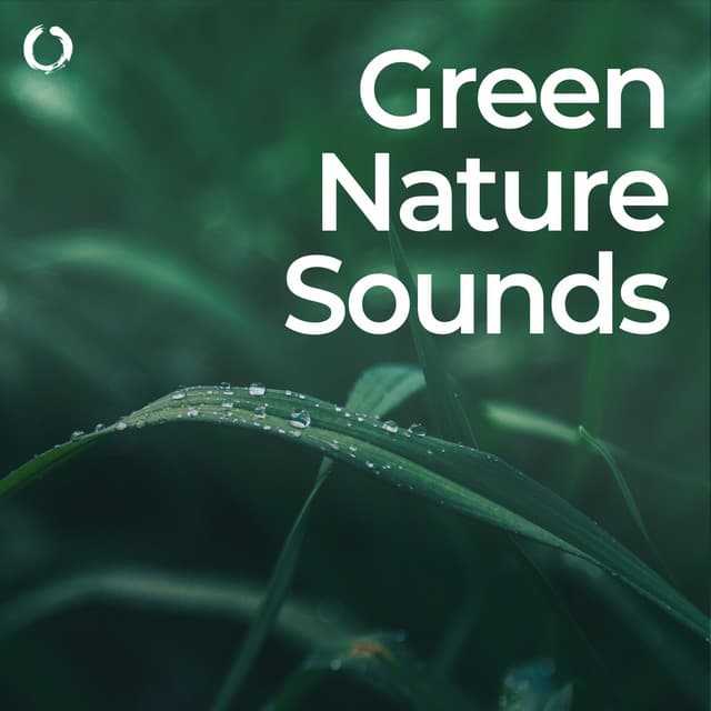 Green Nature Sounds: Relaxing Solfeggio - Nature & Rainforest Sounds Collective