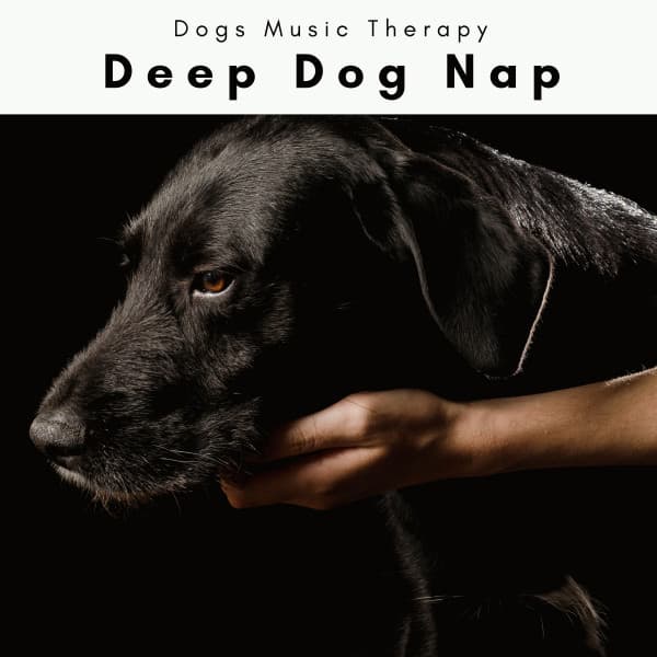 1 Deep Dog Nap - Dogs Music Therapy