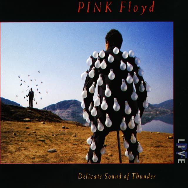 Delicate Sound of Thunder - Pink Floyd