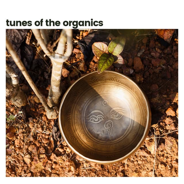 Tunes of the Organics - Soothing Nature Sounds