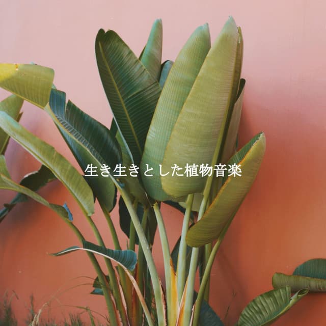生き生きとした植物音楽 - Trabajar desde Casa Latidos