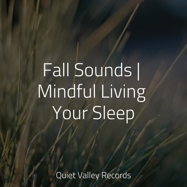 Fall Sounds | Mindful Living Your Sleep - Entspannungsmusik Meer