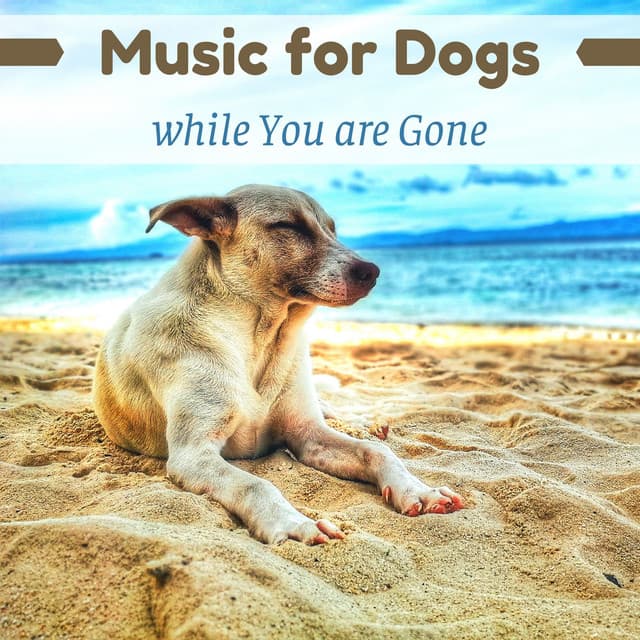 Music for Dogs while You are Gone - Dog Bedtime
