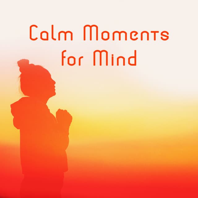Calm Moments for Mind – Mental Detoxification, Destroy Anxiety and Stress - Calm Music Zone