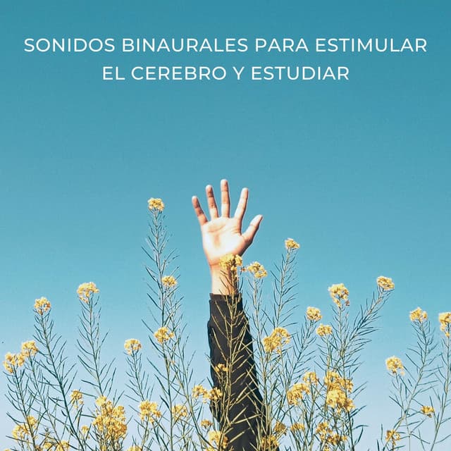 Sonidos Binaurales Para Estimular El Cerebro Y Estudiar - Latidos binaurales para estudiar
