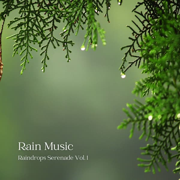Rain Music: Raindrops Serenade Vol. 1 - Calm Music Guru