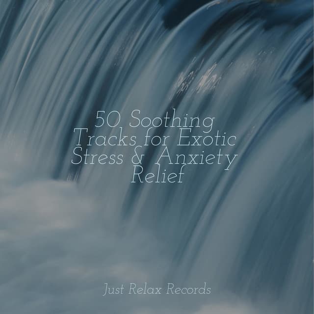 50 Soothing Tracks for Exotic Stress & Anxiety Relief - Meditation Awareness