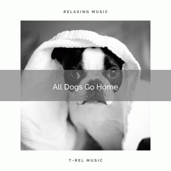 2021 All Dogs Go Home - Music for Pets Library