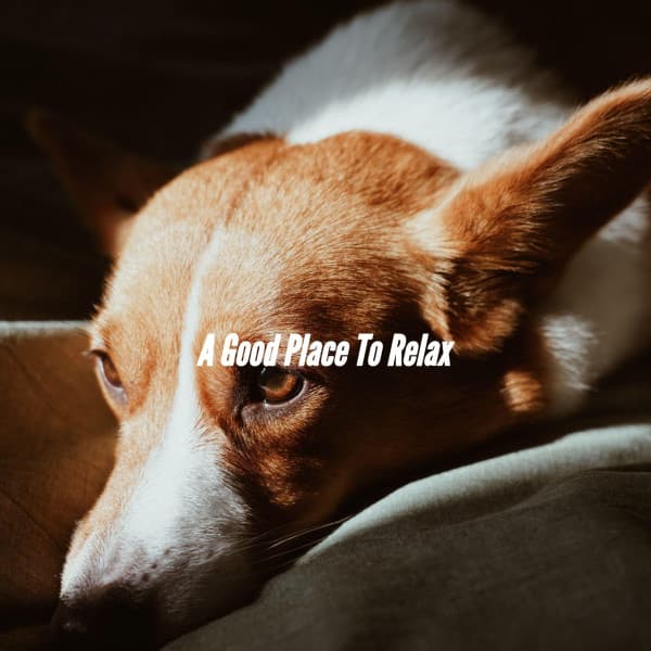 A Good Place To Relax - Chill Cafe Music