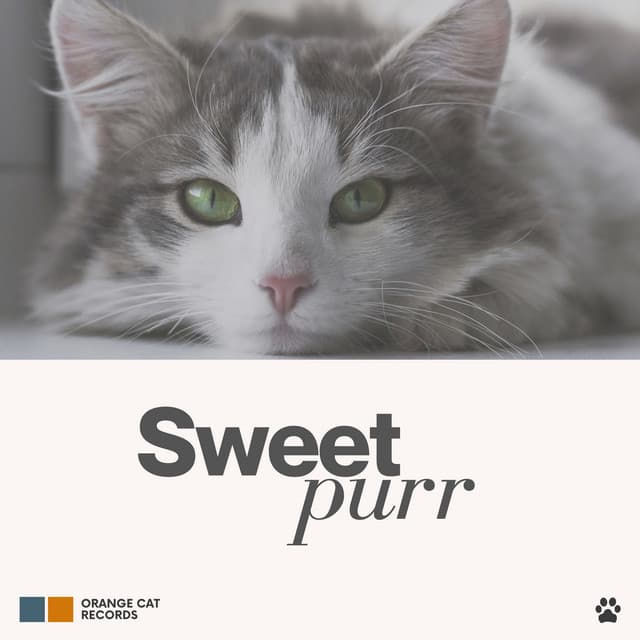 Sweet Purr - Music For Cats