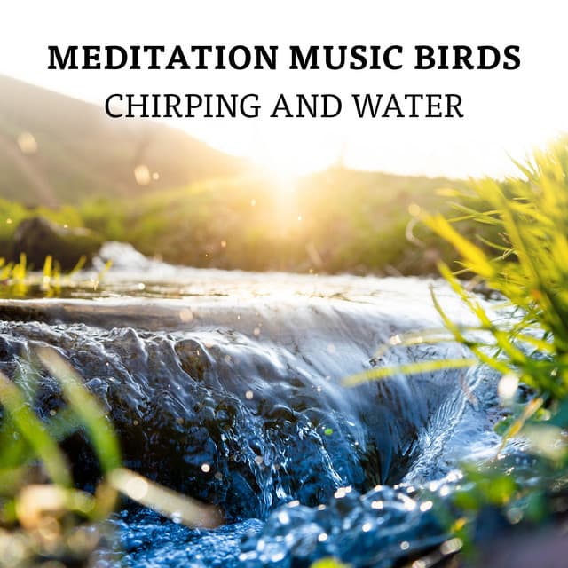 Meditation Music Birds Chirping and Water - Relaxation Meditation Songs Divine