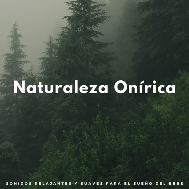 Naturaleza Onírica: Sonidos Relajantes Y Suaves Para El Sueño Del Bebé - Ambiente de naturaleza