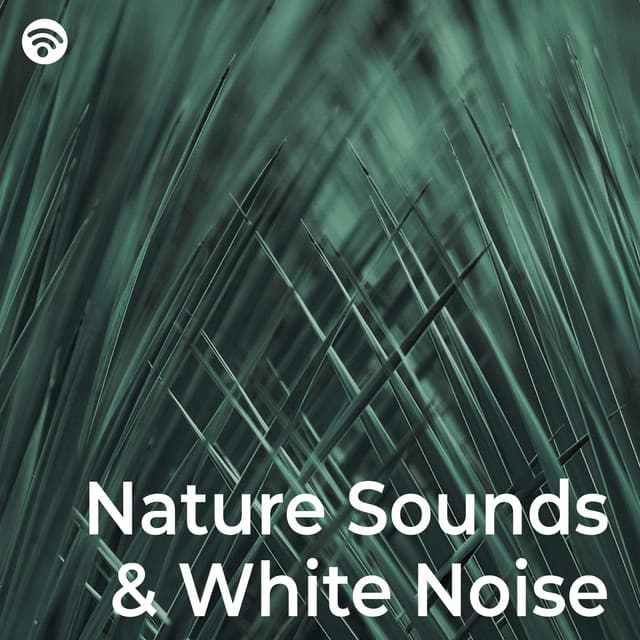 Nature Sounds & White Noise - La Naturaleza Del Sueño