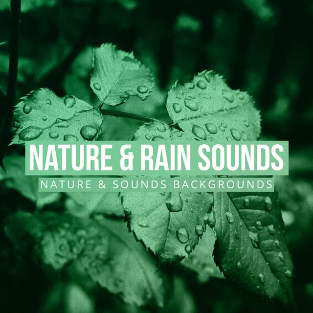 Nature Sounds & Backgrounds