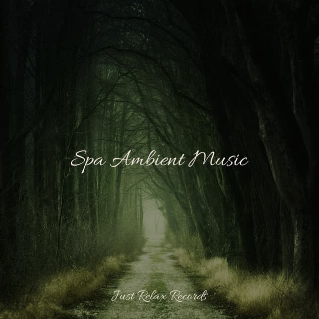Spa Ambient Music - Study Hard