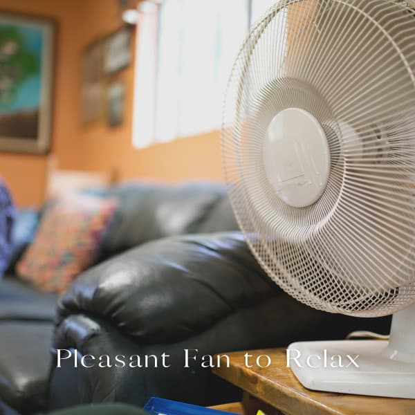 Pleasant Fan to Relax - We Stay Inside