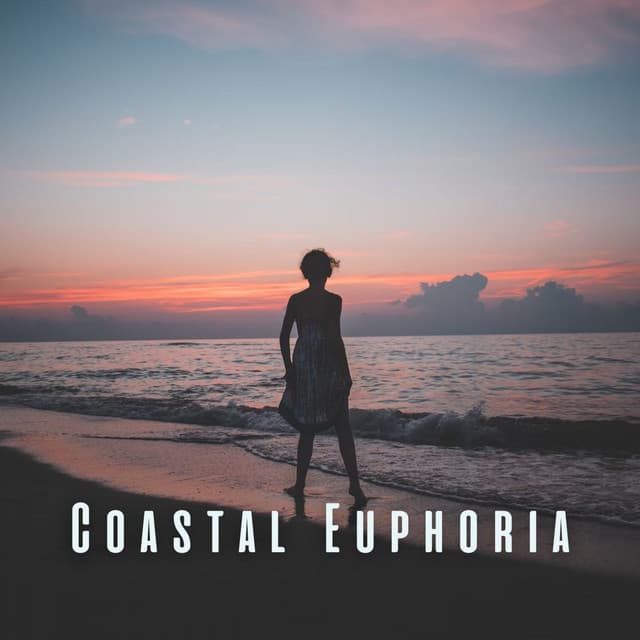 Coastal Euphoria: Calm Ocean and Chill Sounds for Pure Relaxation - Waveseekers