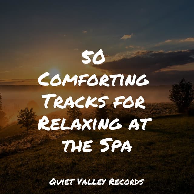 50 Comforting Tracks for Relaxing at the Spa - Tinnitus