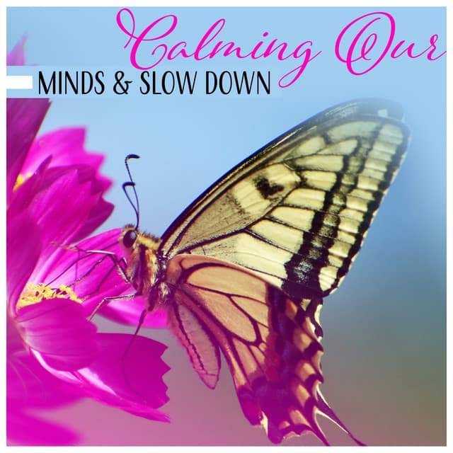 Calming Our Minds & Slow Down - Regeneration Sound Therapy, Stress Relief, Free Spirit, Feel Better, Sleep in Peace - Hypnosis Music Collection