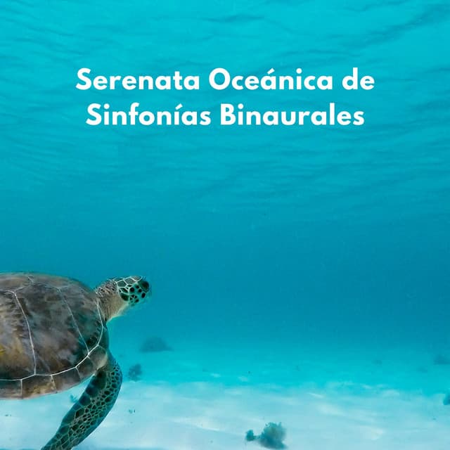 Serenata Oceánica De Sinfonías Binaurales - NatuREM