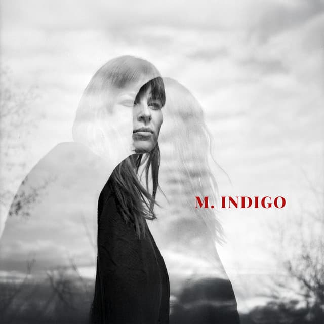 Quantum Shedding - M. Indigo