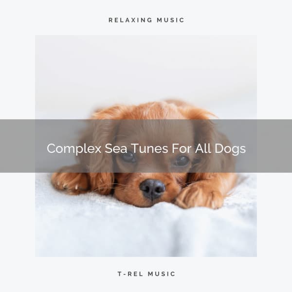 Complex Sea Tunes For All Dogs - Dog Relax