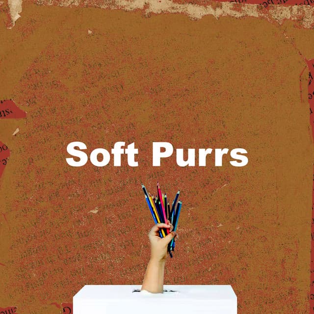 Soft Purrs - Cat Music
