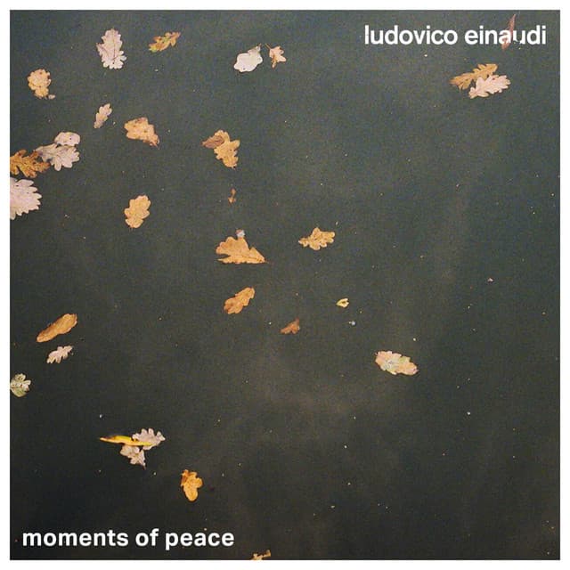 Moments of Peace - Ludovico Einaudi